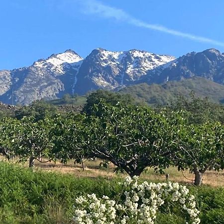 칸델레다 Mirada A Gredos 빌라 외부 사진