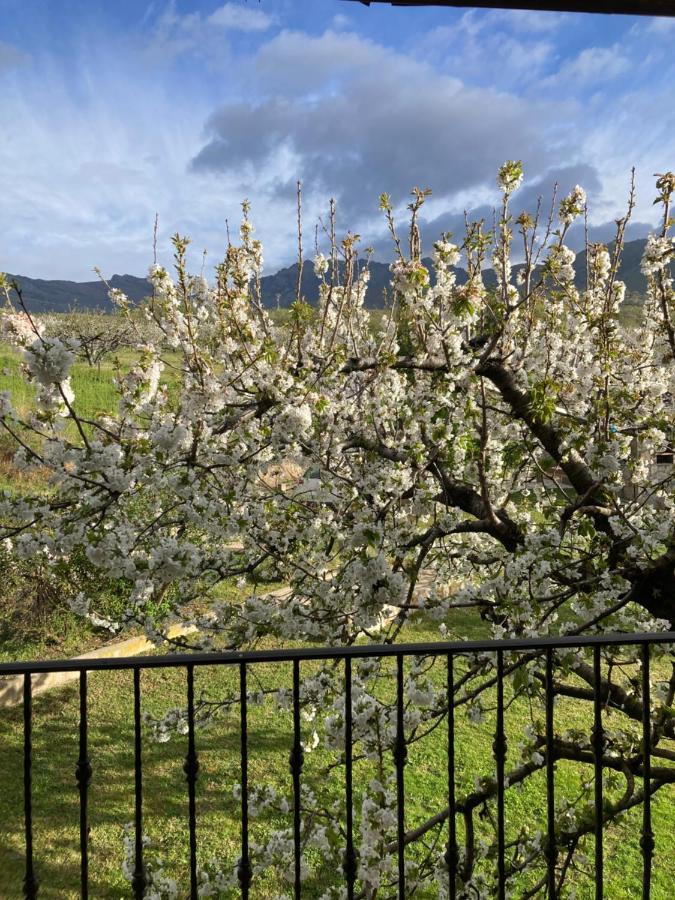 칸델레다 Mirada A Gredos 빌라 외부 사진